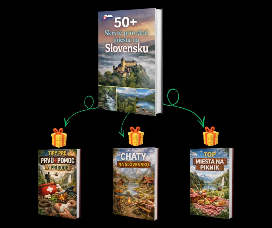 Kompletný balík: kniha + 3 PDF bonusy